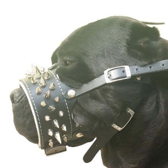 The "Danger" muzzle - Tampa Home & Garden Store