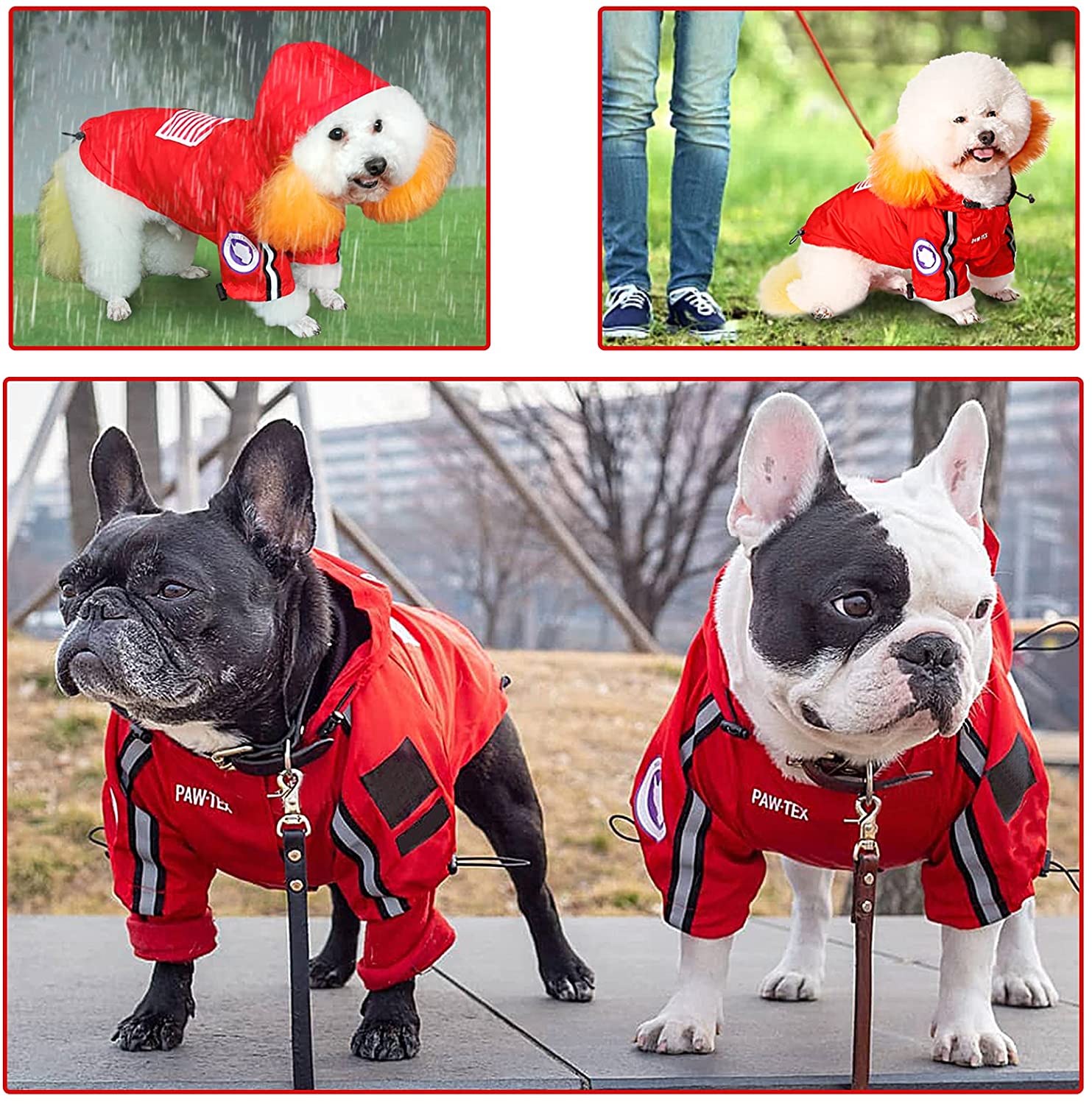 The Dog Face Pet Raincoat - Tampa Home & Garden Store