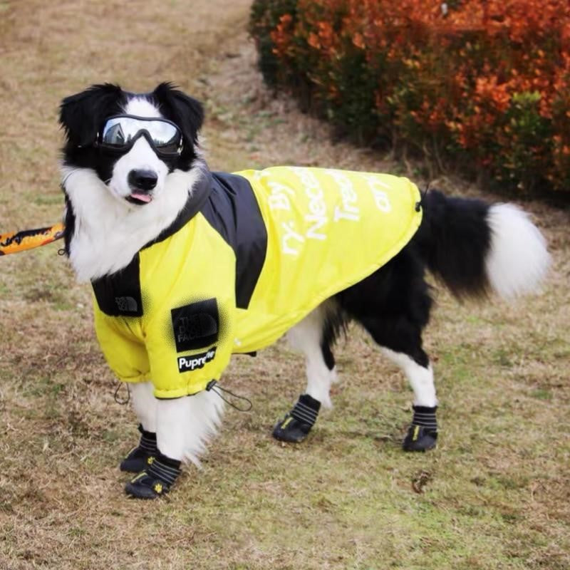 The Dog Face Windproof Waterproof Reflective Pet Cat Dog Jacket - Tampa Home & Garden Store