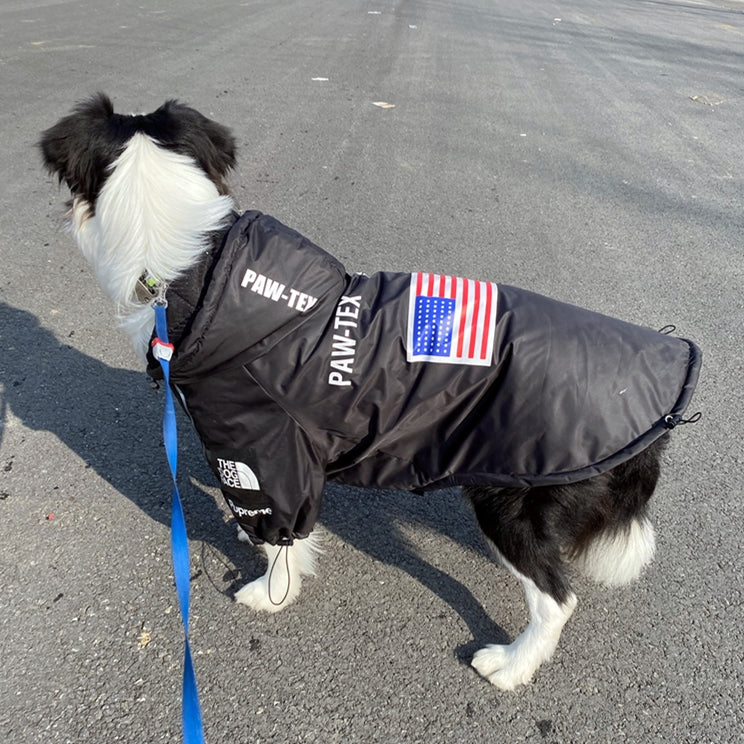 The Dog Face Windproof Waterproof Reflective Pet Cat Dog Jacket - Tampa Home & Garden Store