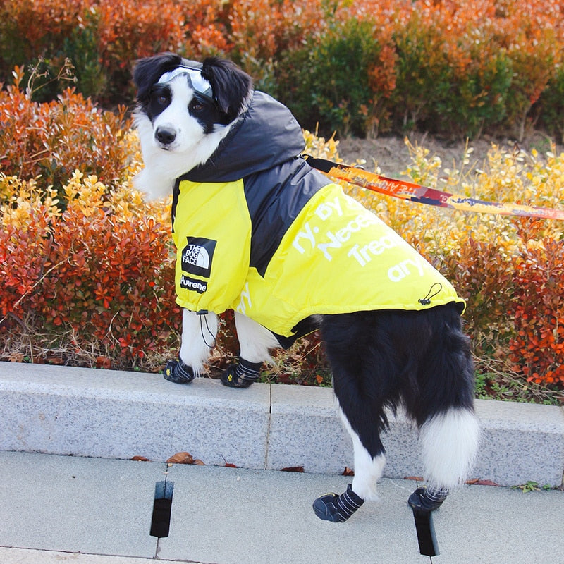 The Dog Face Windproof Waterproof Reflective Pet Cat Dog Jacket - Tampa Home & Garden Store