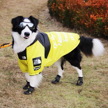 The Dog Face Windproof Waterproof Reflective Pet Cat Dog Jacket - Tampa Home & Garden Store