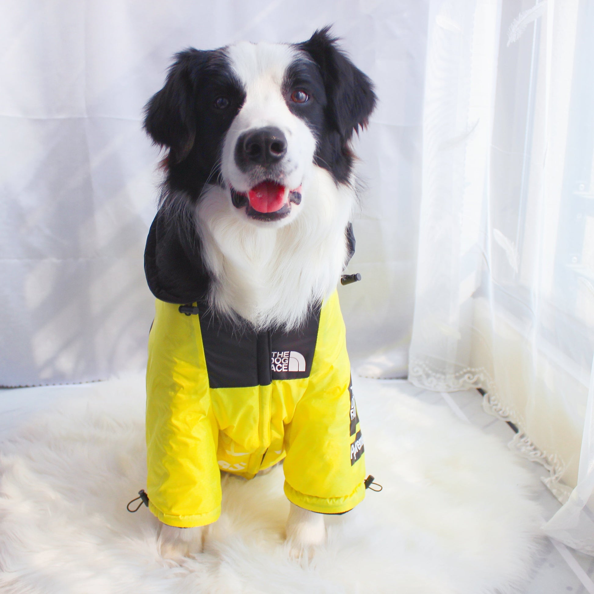 The Dog Face Windproof Waterproof Reflective Pet Cat Dog Jacket - Tampa Home & Garden Store