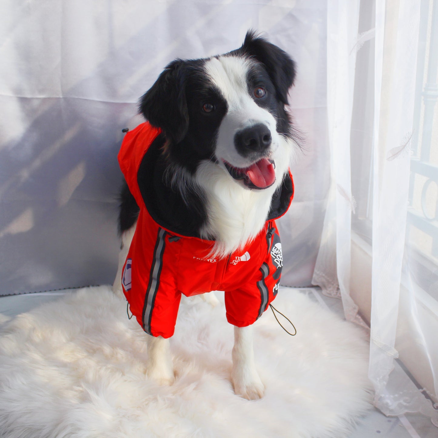 The Dog Face Windproof Waterproof Reflective Pet Cat Dog Jacket - Tampa Home & Garden Store
