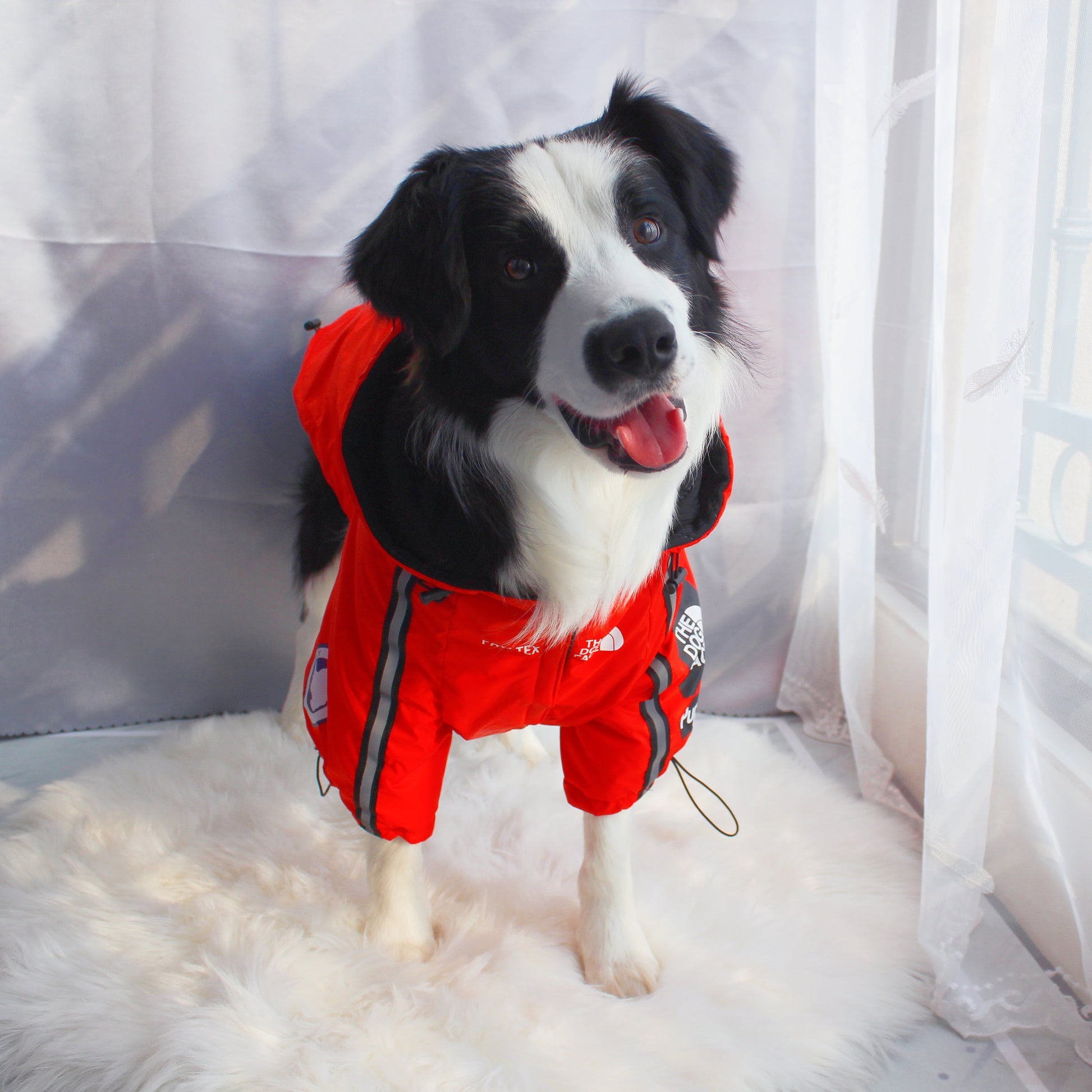 The Dog Face Windproof Waterproof Reflective Pet Cat Dog Jacket - Tampa Home & Garden Store
