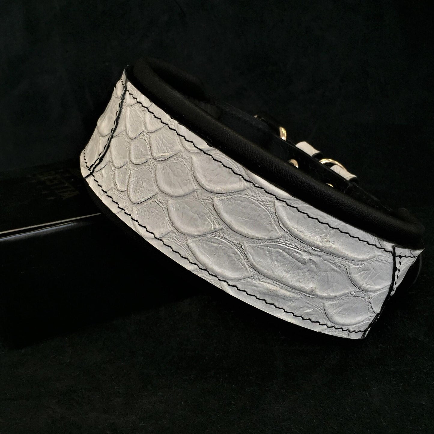The ''Dragon Scale'' LIMITED collar exclusive design - Tampa Home & Garden Store
