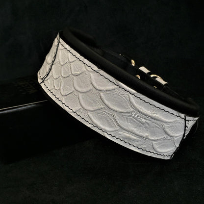 The ''Dragon Scale'' LIMITED collar exclusive design - Tampa Home & Garden Store
