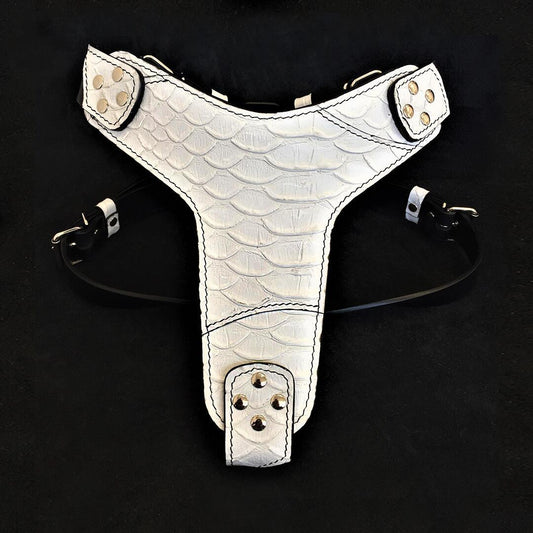 The ''Dragon Scale'' harness - Tampa Home & Garden Store