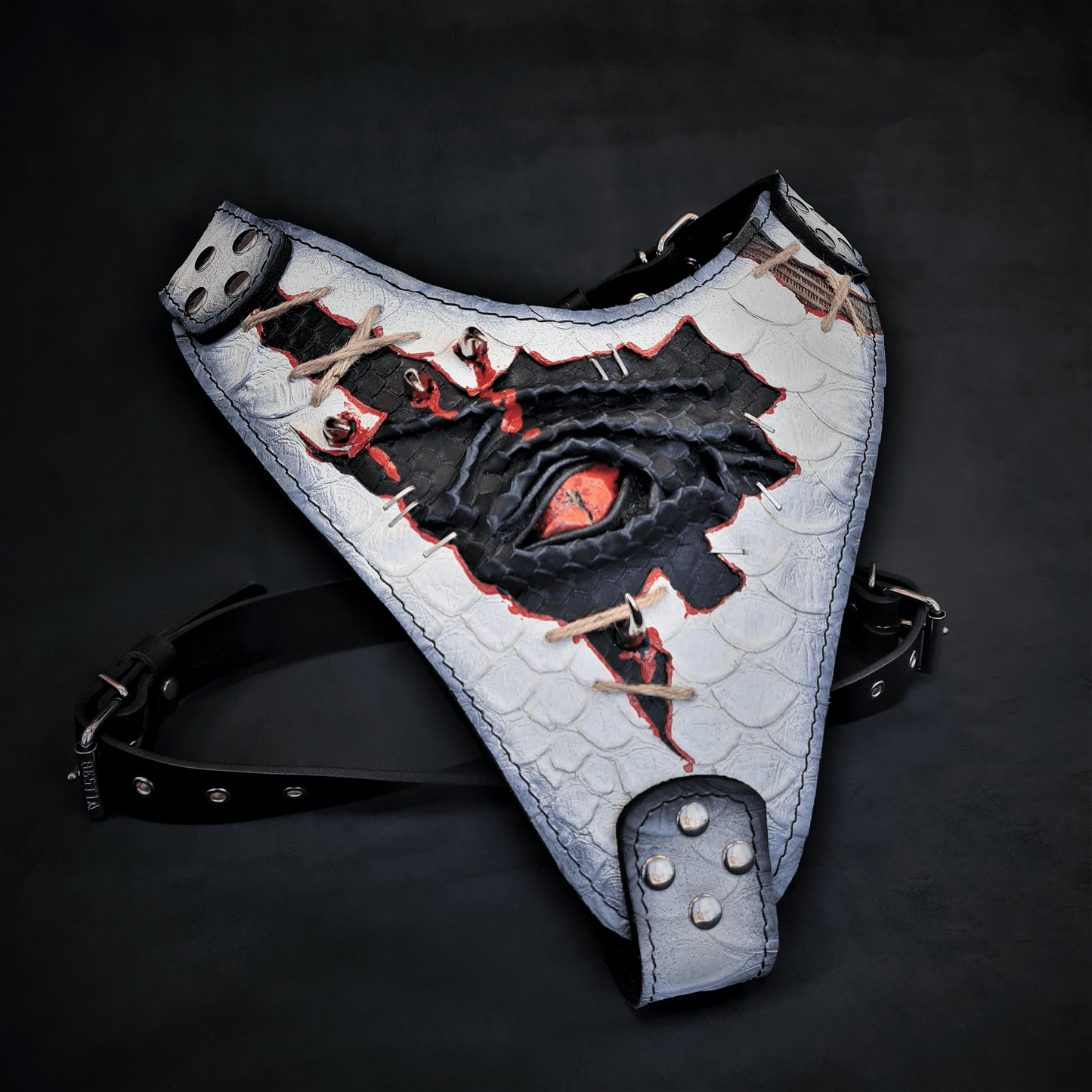 The “Dragon's Eye” Harness LIMITED! - Tampa Home & Garden Store