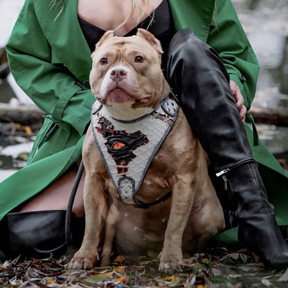 The “Dragon's Eye” Harness LIMITED! - Tampa Home & Garden Store