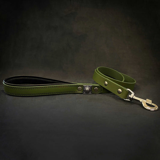 The "Eros" Green Leash 1 inch wide - Tampa Home & Garden Store