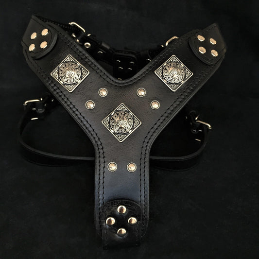 The "Eros" all Black Harness - Tampa Home & Garden Store