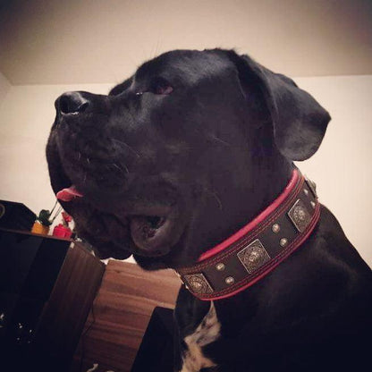The "Eros" collar 2.5 inch wide black & red - Tampa Home & Garden Store