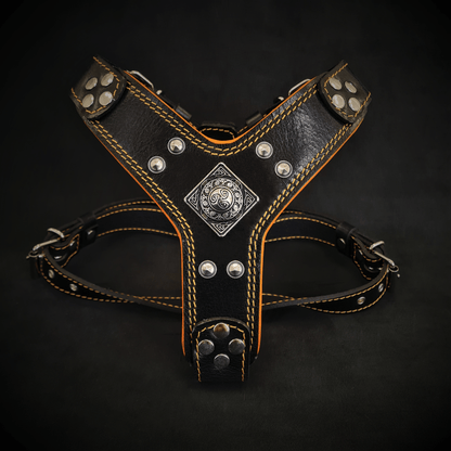 The ''Eros'' harness Black & Orange Small to Medium Size - Tampa Home & Garden Store