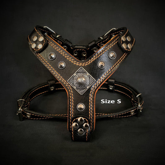The ''Eros'' harness Black & Orange Small to Medium Size - Tampa Home & Garden Store