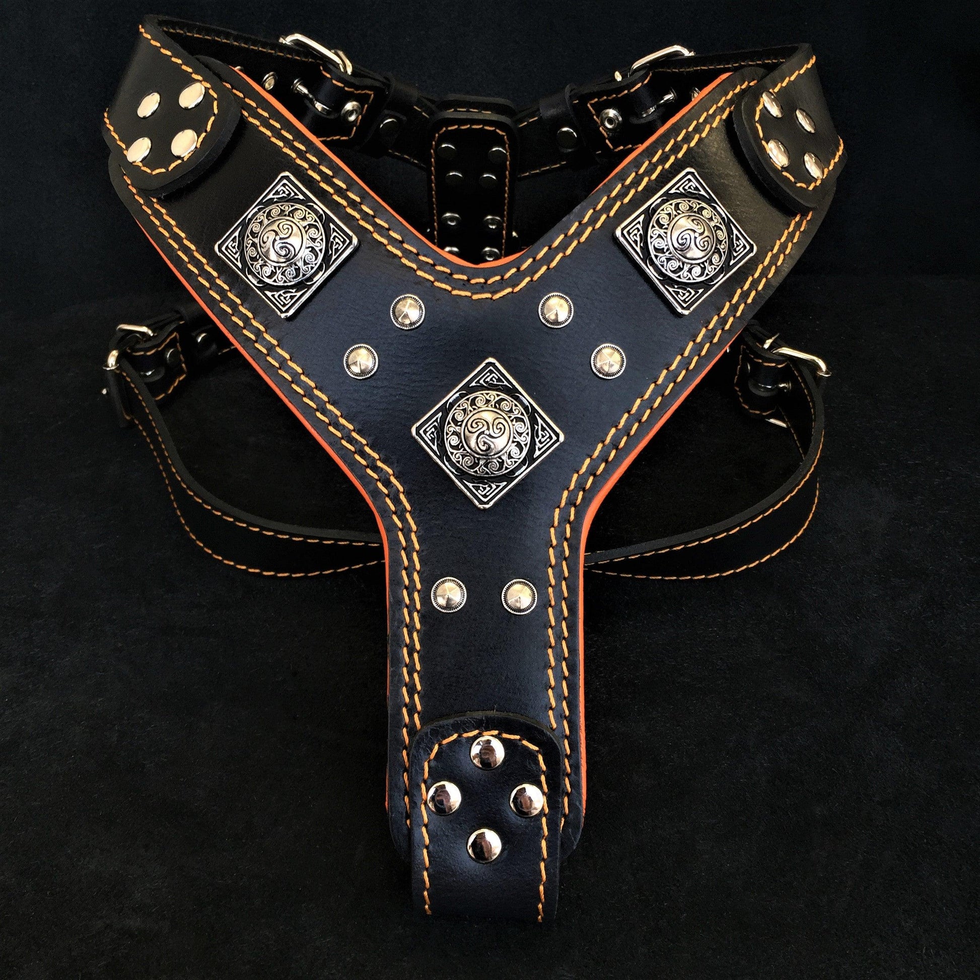 The "Eros" harness Black & Orange - Tampa Home & Garden Store