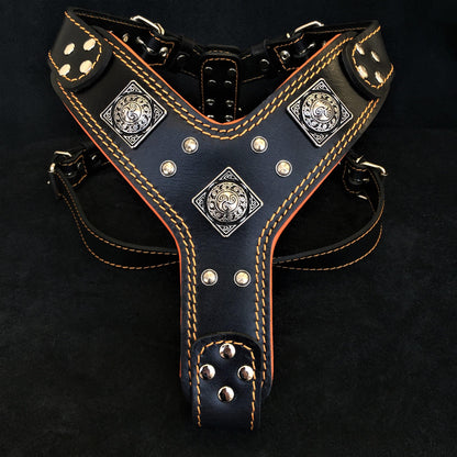 The "Eros" harness Black & Orange - Tampa Home & Garden Store