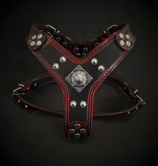The ''Eros'' harness Black & Red Small to Medium Size - Tampa Home & Garden Store