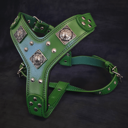 The "Eros" harness GREEN - Tampa Home & Garden Store