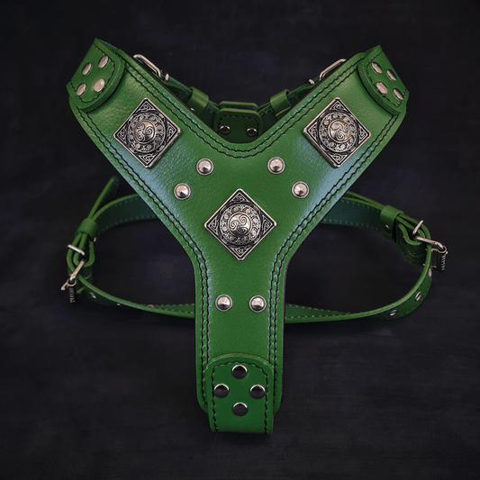 The "Eros" harness GREEN - Tampa Home & Garden Store