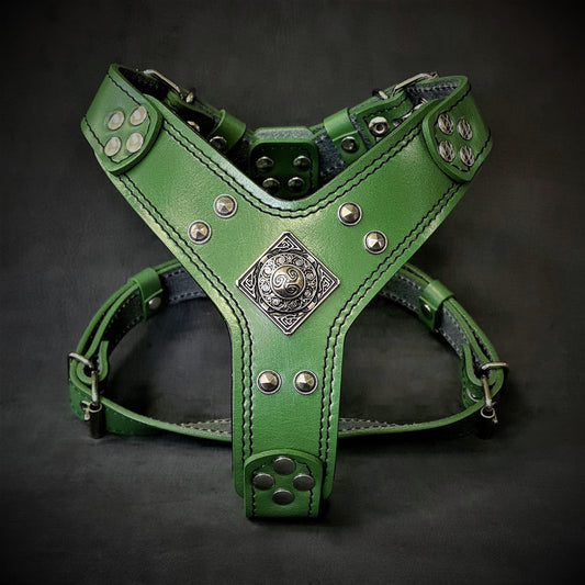 The ''Eros'' harness Green Small to Medium Size - Tampa Home & Garden Store