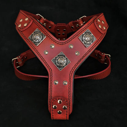 The "Eros" harness RED - Tampa Home & Garden Store