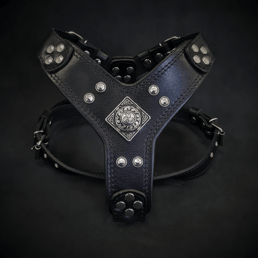 The ''Eros'' harness black Medium Size - Tampa Home & Garden Store