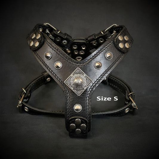 The ''Eros'' harness black Medium Size - Tampa Home & Garden Store