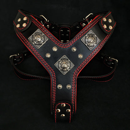 The "Eros" harness black & red - Tampa Home & Garden Store