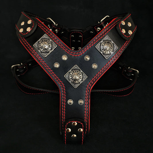 The "Eros" harness black & red - Tampa Home & Garden Store