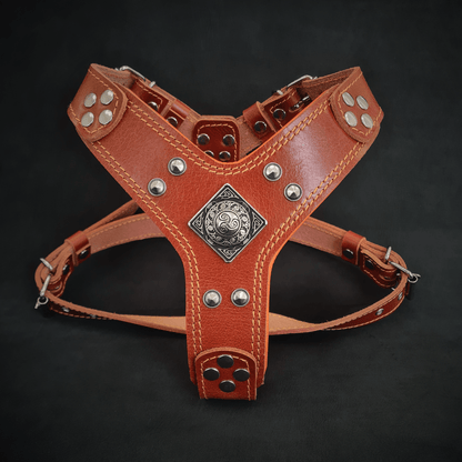 The ''Eros'' harness brown Small to Medium Size - Tampa Home & Garden Store