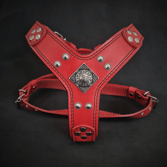 The ''Eros'' harness red Small to Medium Size - Tampa Home & Garden Store