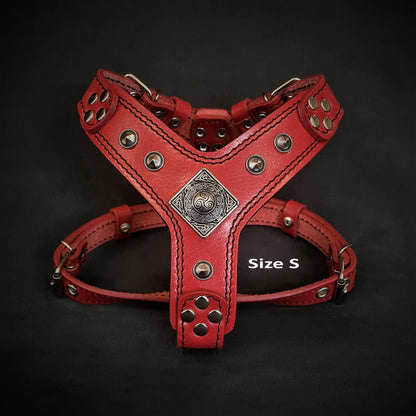 The ''Eros'' harness red Small to Medium Size - Tampa Home & Garden Store