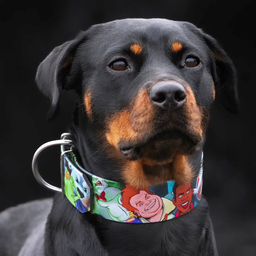 The “Ghostbuster” collar -LIMITED - Tampa Home & Garden Store