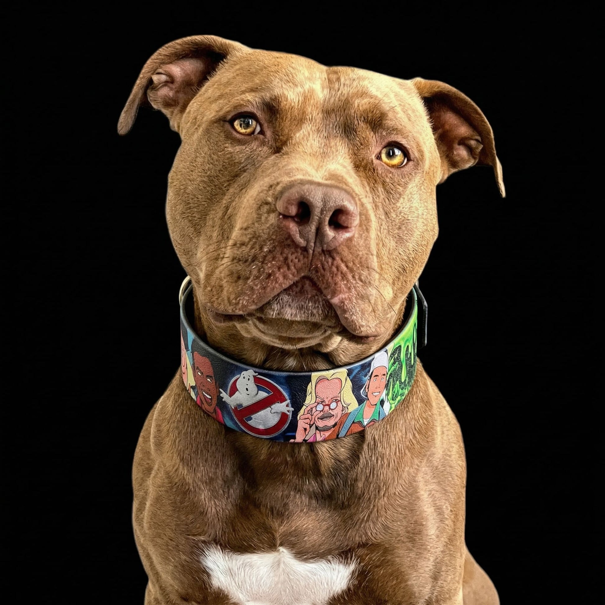 The “Ghostbuster” collar -LIMITED - Tampa Home & Garden Store