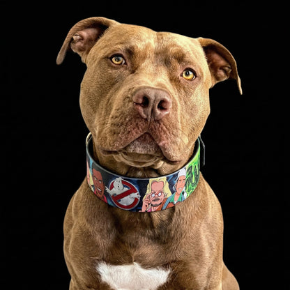 The “Ghostbuster” collar -LIMITED - Tampa Home & Garden Store