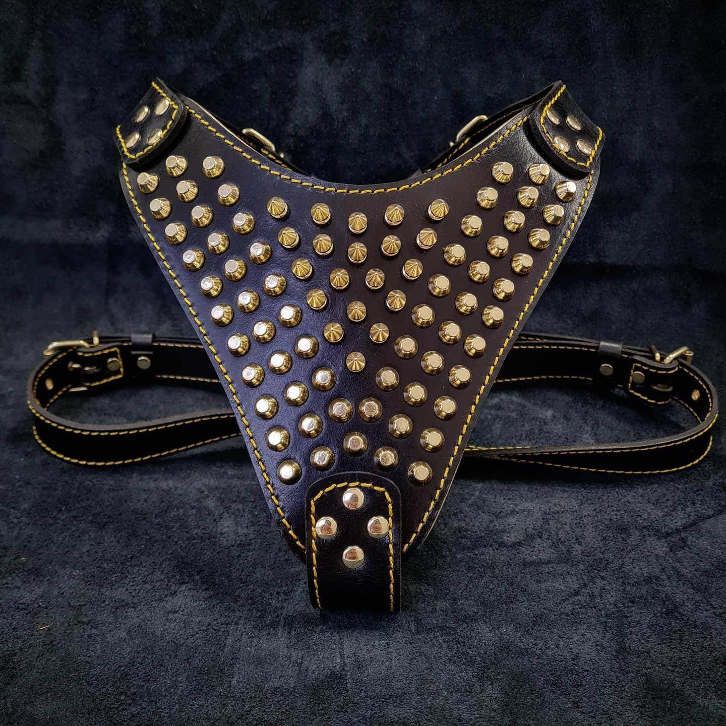 The "Gladiator" harness Gold/Silver - Tampa Home & Garden Store