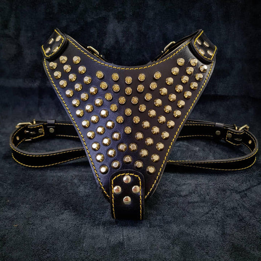 The "Gladiator" harness Gold/Silver - Tampa Home & Garden Store