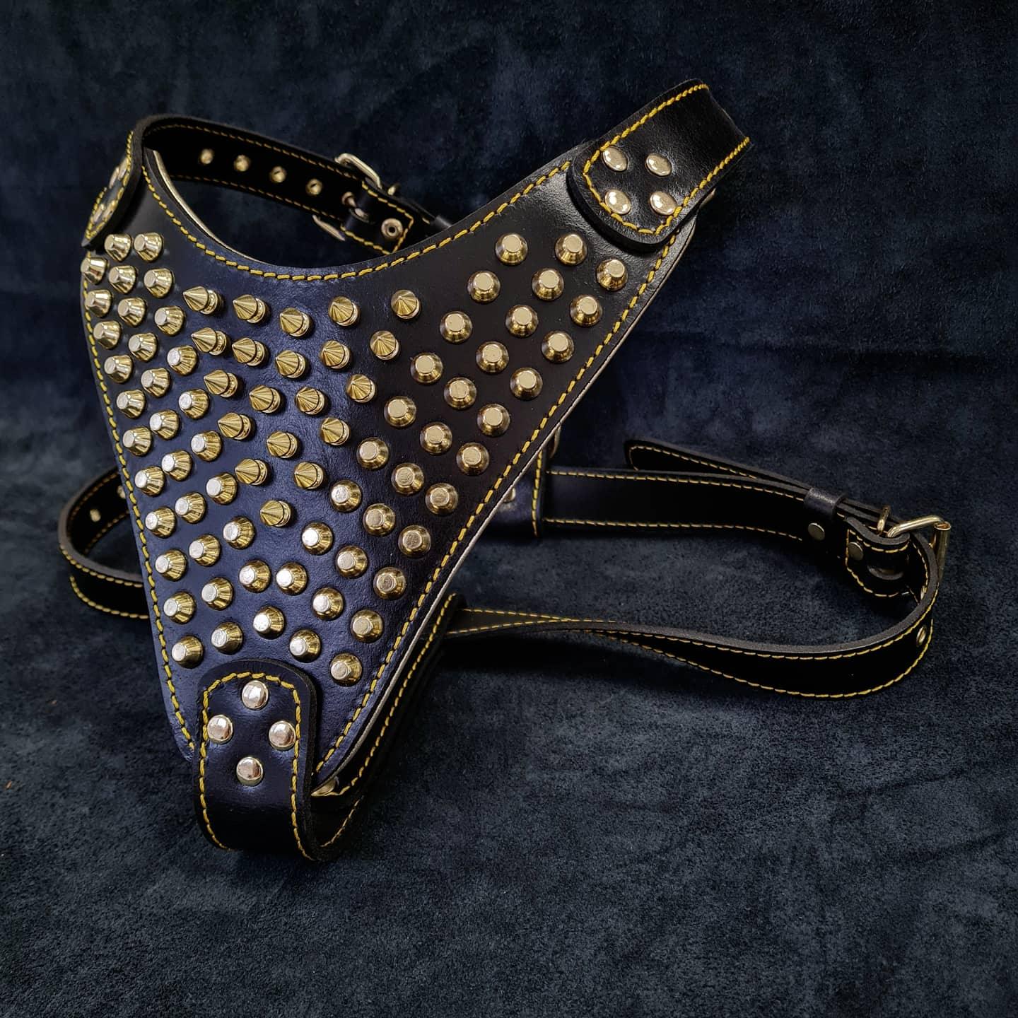 The "Gladiator" harness Gold/Silver - Tampa Home & Garden Store
