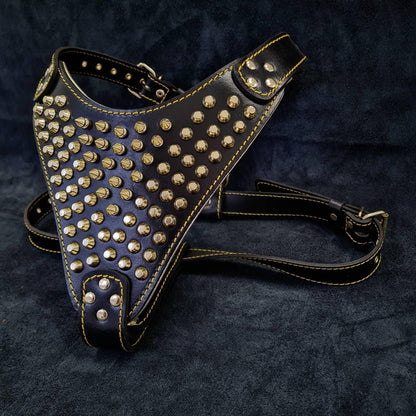 The "Gladiator" harness Gold/Silver - Tampa Home & Garden Store