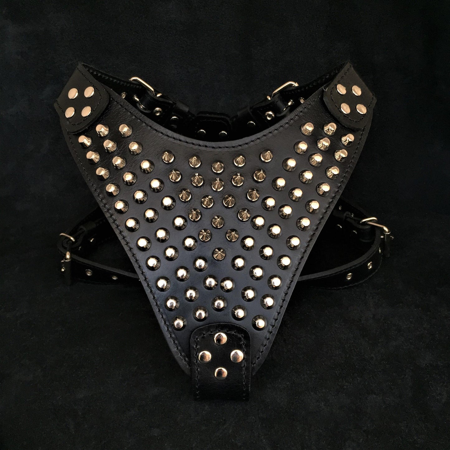 The "Gladiator" harness - Tampa Home & Garden Store