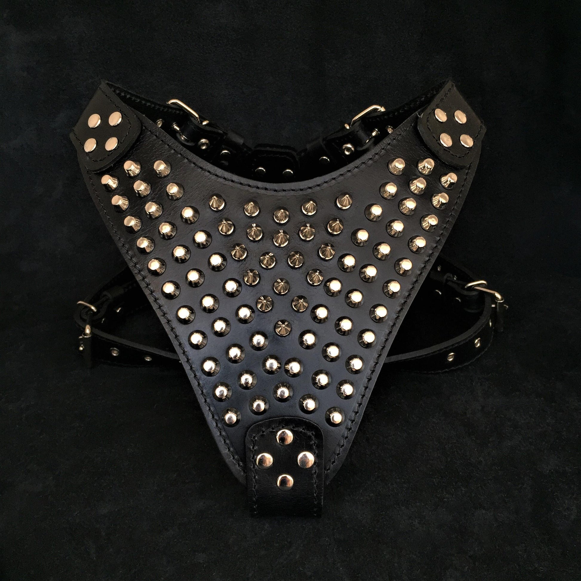 The "Gladiator" harness - Tampa Home & Garden Store
