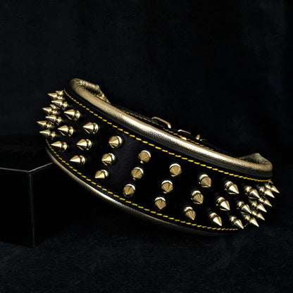 The "Gold Giant" collar - Tampa Home & Garden Store