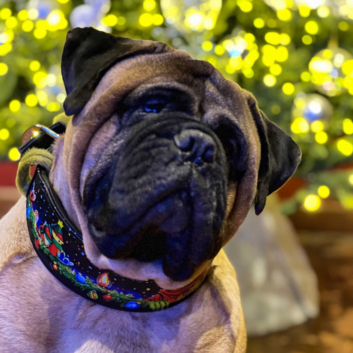 The Grinch Limited Collar - Tampa Home & Garden Store