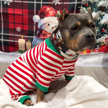 The Harley Limited Collar - Tampa Home & Garden Store