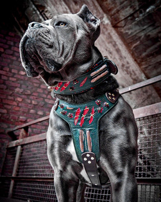 The ''Haunted'' harness LIMITED - Tampa Home & Garden Store