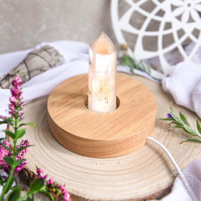The Healing Lamp - Tampa Home & Garden Store