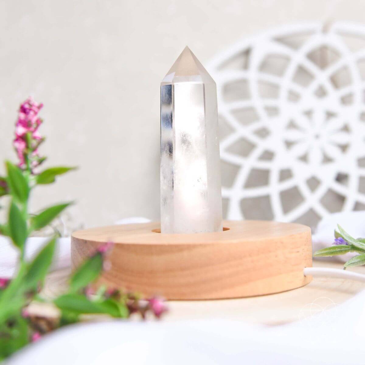 The Healing Lamp - Tampa Home & Garden Store