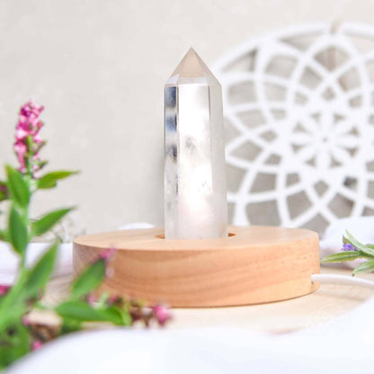 The Healing Lamp - Tampa Home & Garden Store