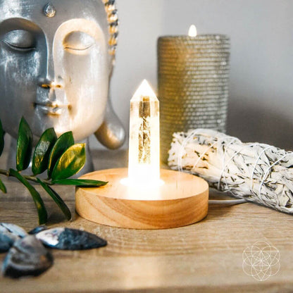 The Healing Lamp - Tampa Home & Garden Store